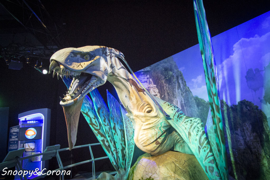 20161207-IMG_8172.jpg 20161207-IMG_8172.jpg