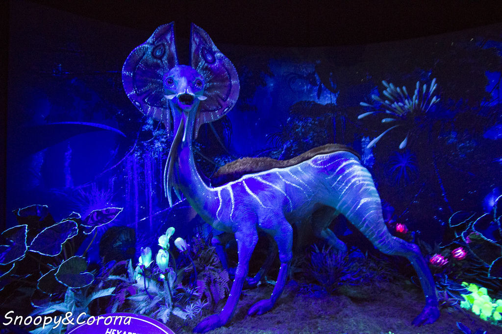 20161207-IMG_8177.jpg 20161207-IMG_8177.jpg