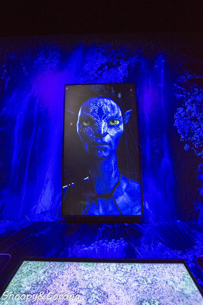 20161207-IMG_8180.jpg 20161207-IMG_8180.jpg