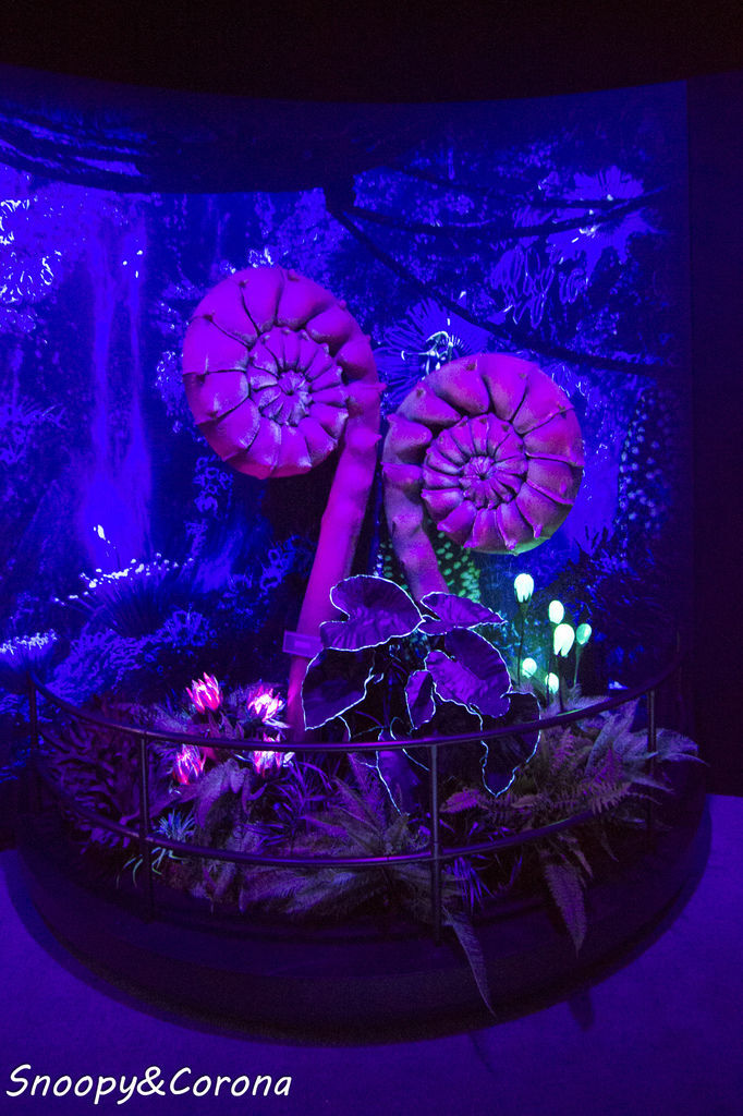 20161207-IMG_8184.jpg 20161207-IMG_8184.jpg