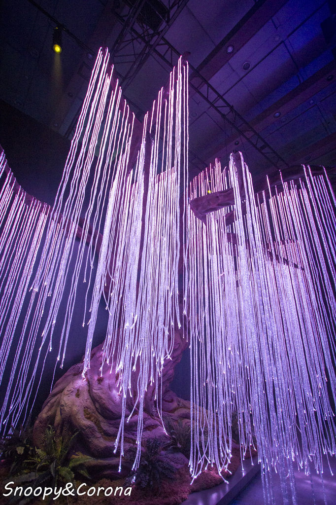 20161207-IMG_8201.jpg 20161207-IMG_8201.jpg