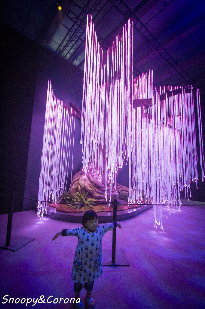 20161207-IMG_8203.jpg 20161207-IMG_8203.jpg