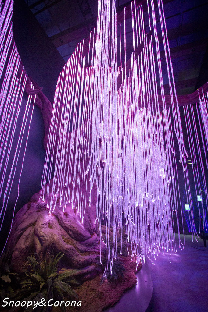 20161207-IMG_8205.jpg 20161207-IMG_8205.jpg