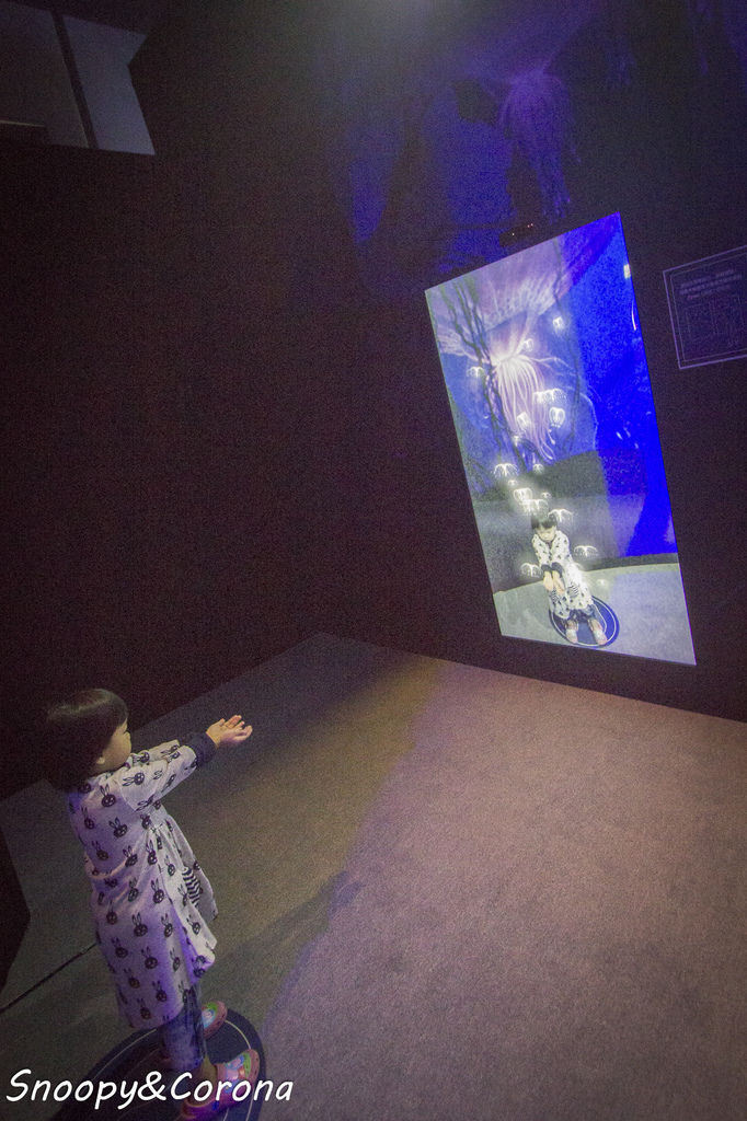 20161207-IMG_8211.jpg 20161207-IMG_8211.jpg