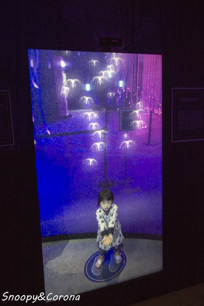 20161207-IMG_8218.jpg 20161207-IMG_8218.jpg