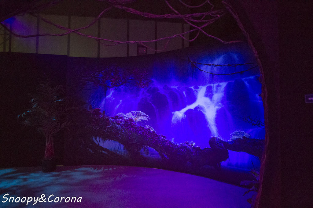 20161207-IMG_8225.jpg 20161207-IMG_8225.jpg