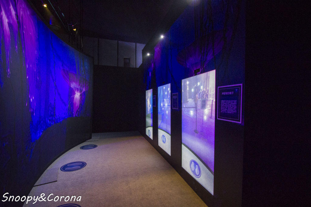 20161207-IMG_8228.jpg 20161207-IMG_8228.jpg