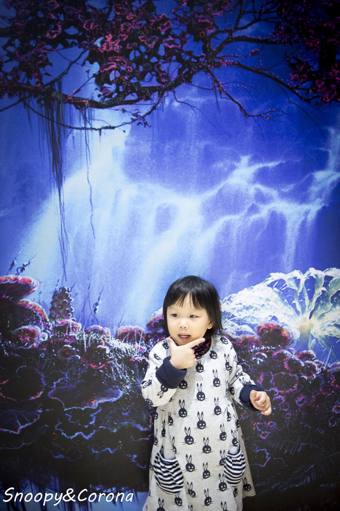 20161207-IMG_8244.jpg 20161207-IMG_8244.jpg