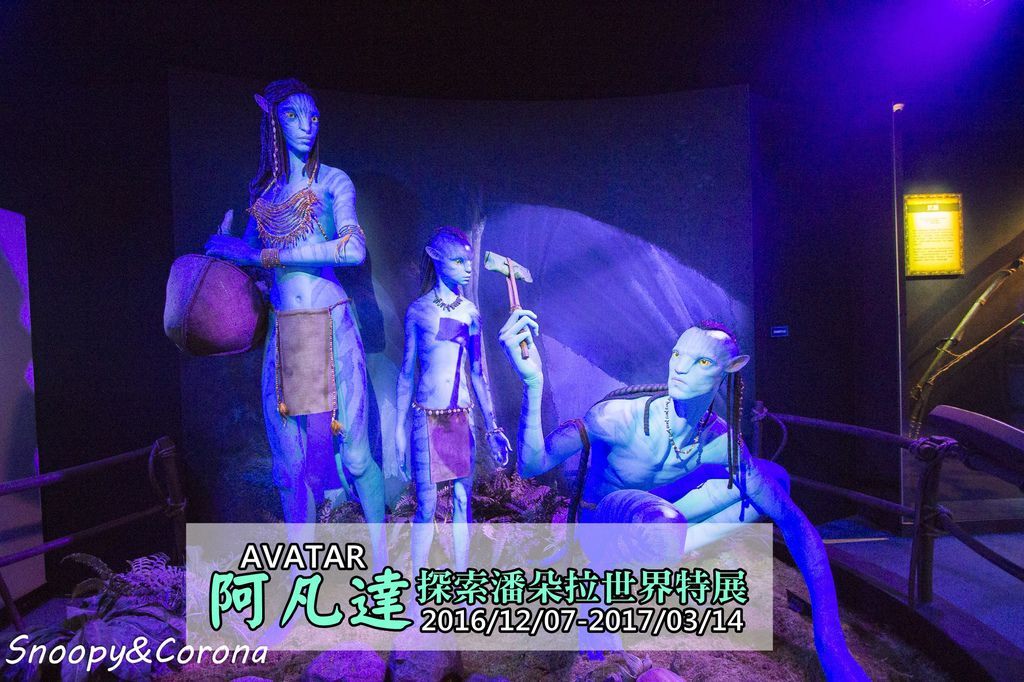 封面.jpg 封面.jpg