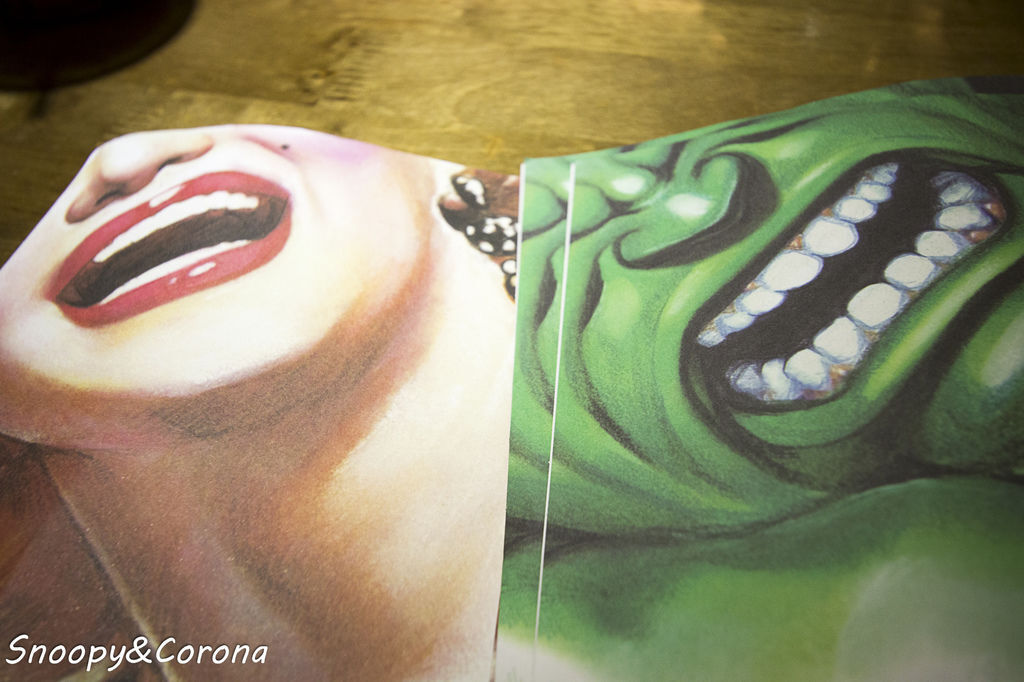 20170101-IMG_1959.jpg 20170101-IMG_1959.jpg