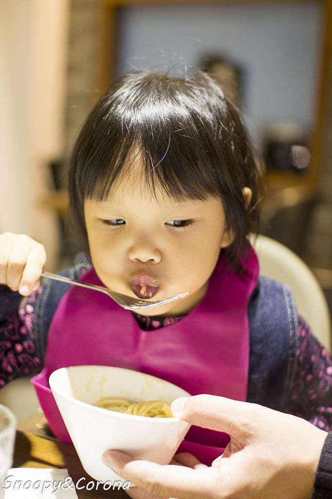 20170101-IMG_2008.jpg 20170101-IMG_2008.jpg