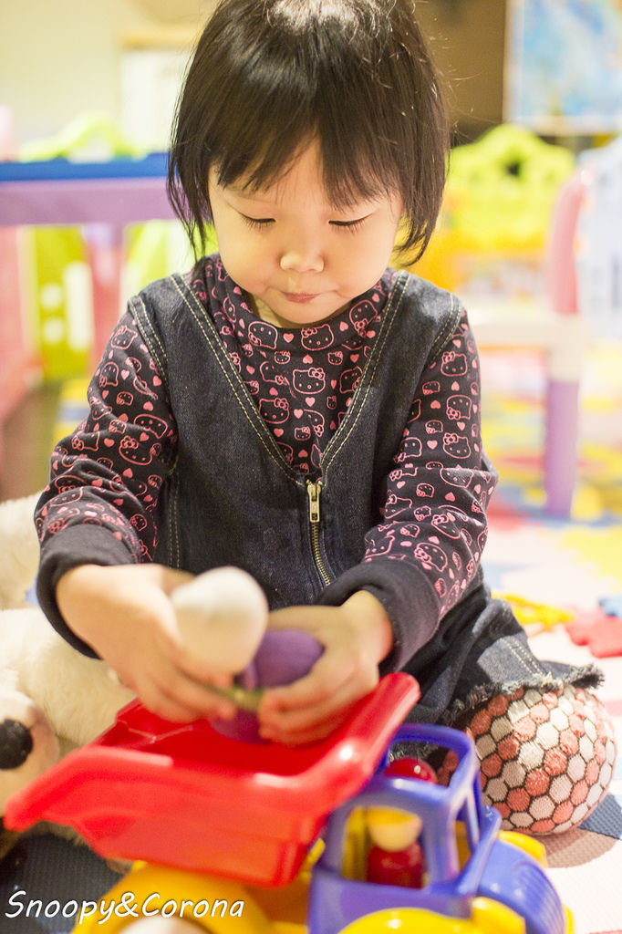 20170101-IMG_2027.jpg 20170101-IMG_2027.jpg