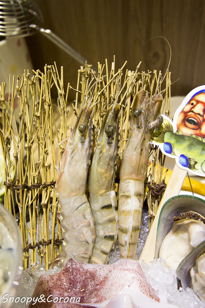 20170209-IMG_5635.jpg 20170209-IMG_5635.jpg