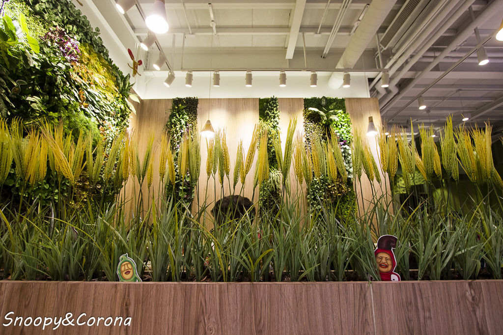 20170209-IMG_5711.jpg 20170209-IMG_5711.jpg