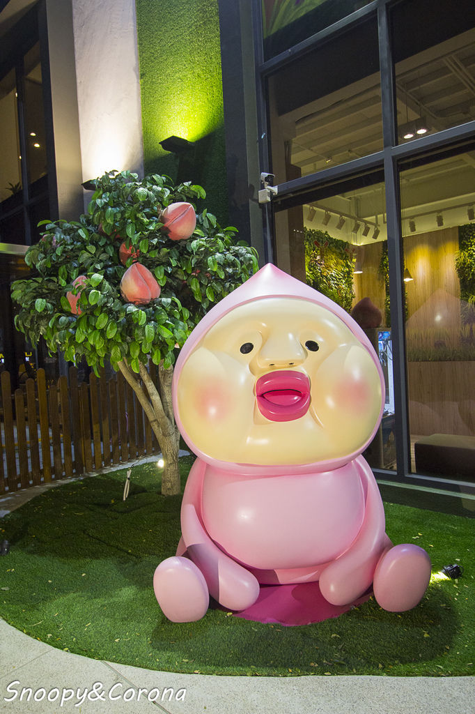 20170209-IMG_5727.jpg 20170209-IMG_5727.jpg