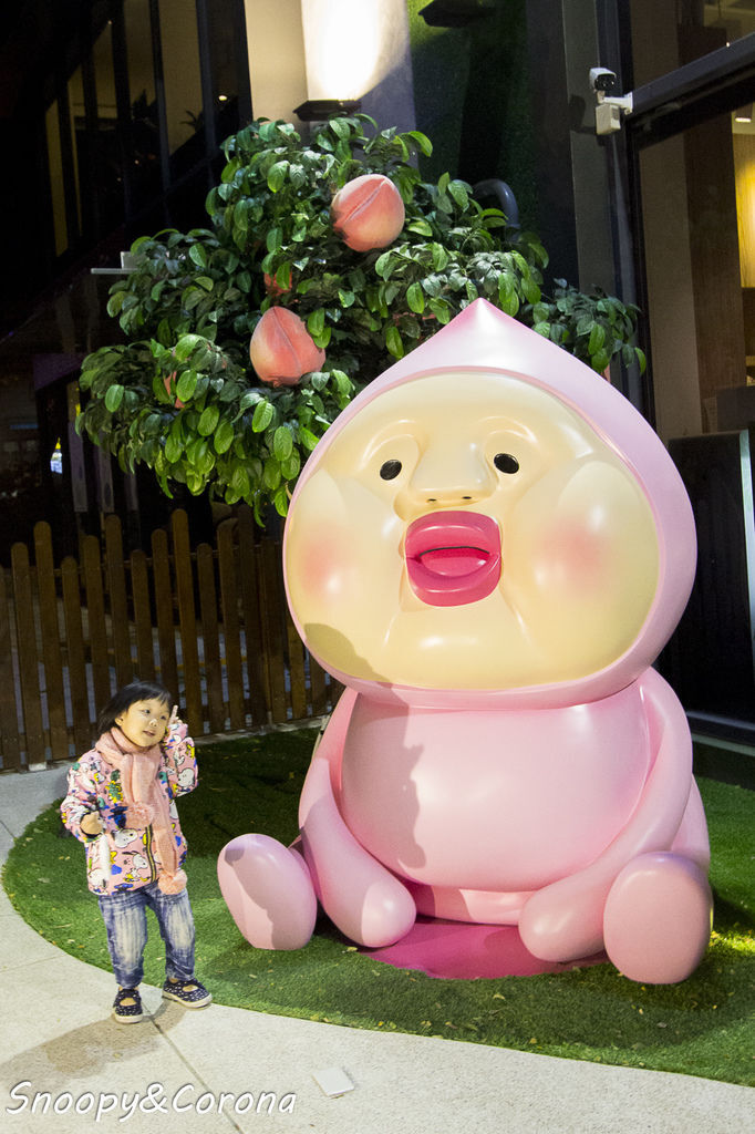 20170209-IMG_5740.jpg 20170209-IMG_5740.jpg