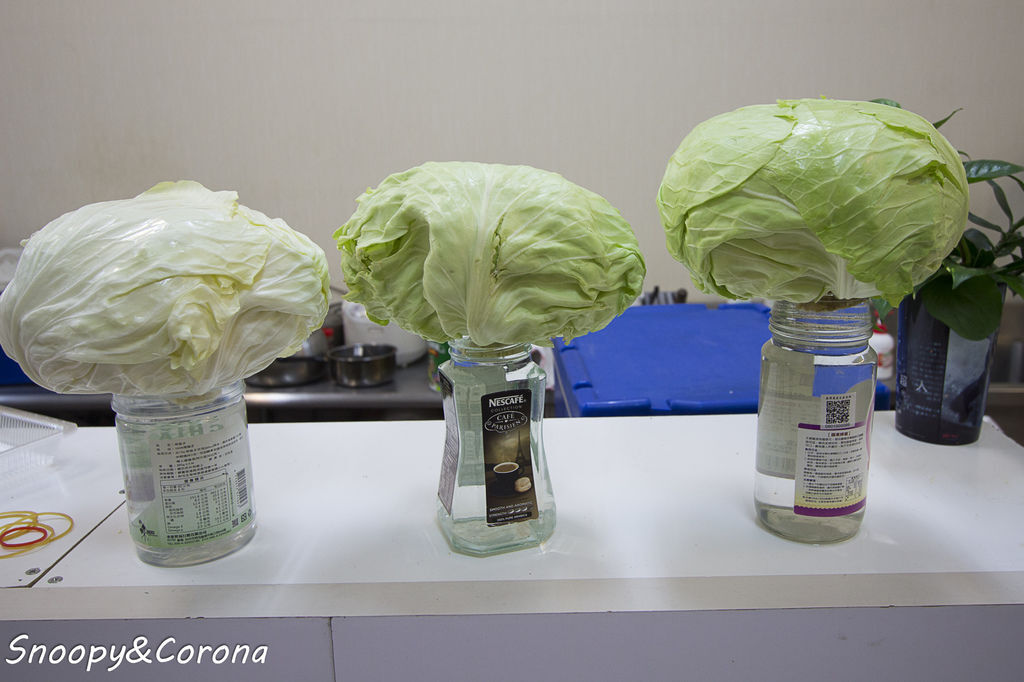 20170223-IMG_7329.jpg 20170223-IMG_7329.jpg