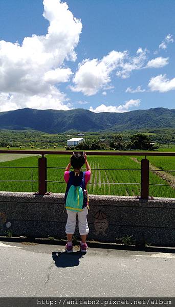 20170824花東遊 (138).jpg