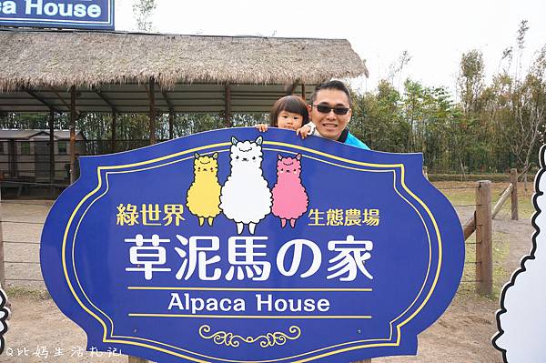 DSC06856_副本 DSC06856_副本