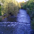 Freiburg Herbst_3.jpg