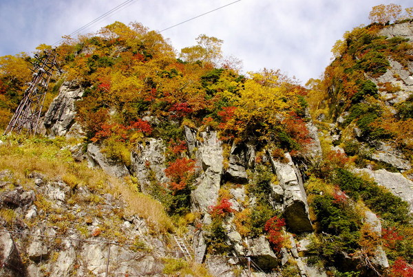 大顴峰