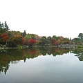 日本庭園內的池塘
