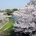 經過了琵琶湖疏水紀念館