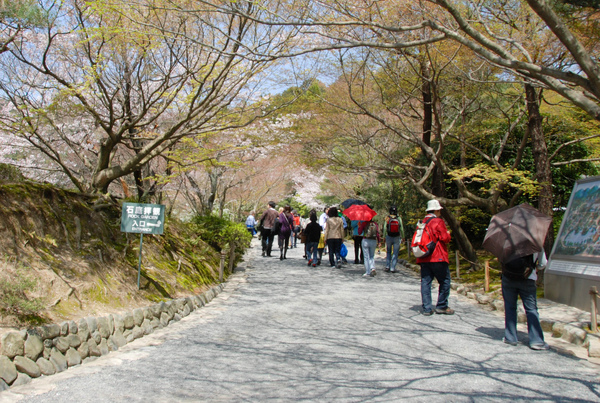 前往石庭院