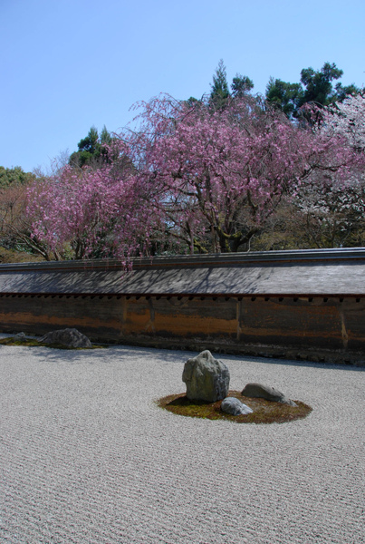 龍安寺-40.jpg