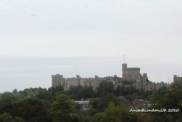 windsor-1.jpg