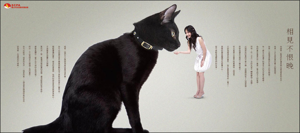 Cat01.jpg Cat01.jpg