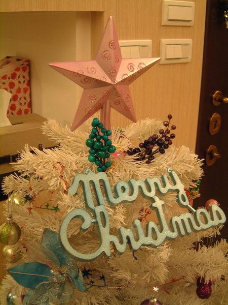 20091207xmastree02