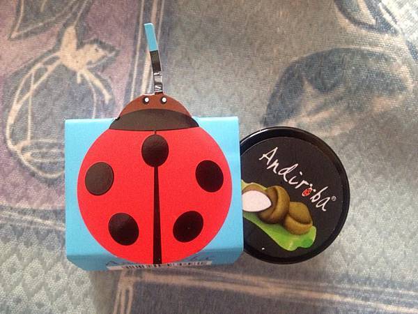 11651357_396850687173639_1140835808_n 試用