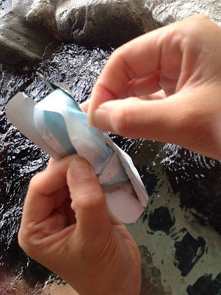 13578479_523509291174444_766318459_n.jpg 試用