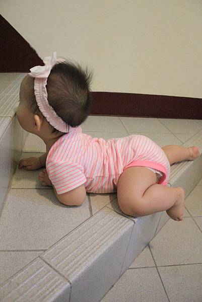 IMG_4588 IMG_4588