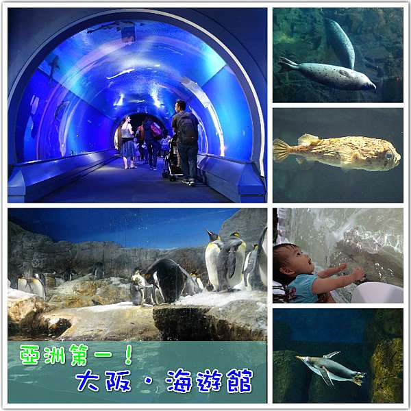 關西親子遊 好玩推薦 大阪海遊館 亞洲排名第一的世界最大級水族館 小桃媽幸福部落 痞客邦