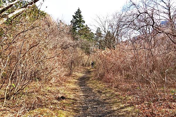 DSC00583.JPG DSC00583.JPG