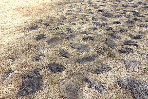 DSC00585.JPG DSC00585.JPG