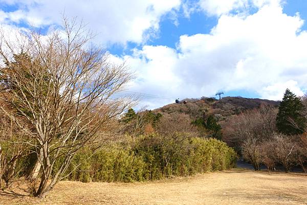 DSC00605.JPG DSC00605.JPG