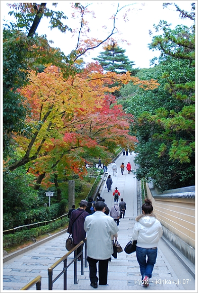 京都 金閣寺.JPG