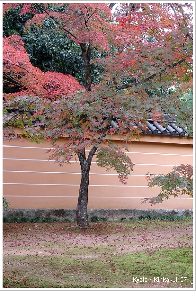 京都 金閣寺.JPG