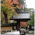 京都 金閣寺.JPG