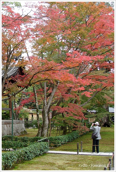 京都 金閣寺.JPG