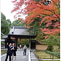 京都 金閣寺.JPG