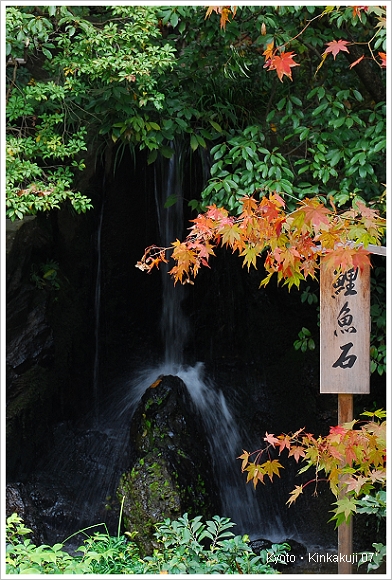 京都 金閣寺.JPG