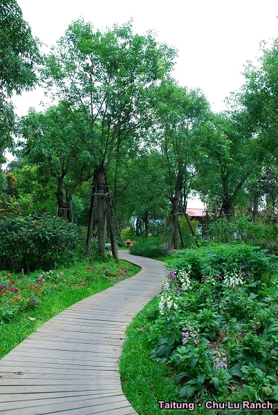 台东吃喝玩乐- 台东初鹿牧场香草馆:顺手买个自然风产品吧 3 台东吃喝玩乐 -