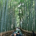 日本，京都，嵐山