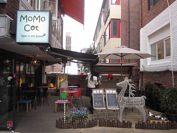 IMG_3615 IMG_3615