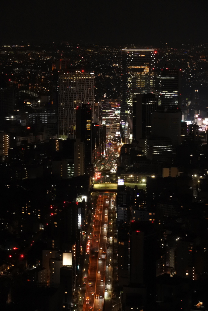 【七周年之東京行 ➌ 】白天黑夜都好看！點亮東京的紅色鐵塔