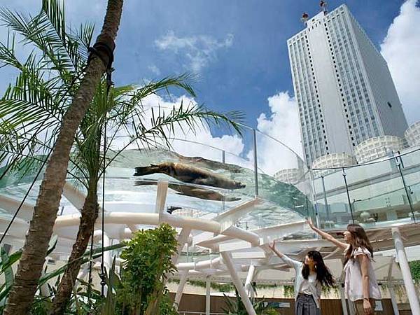 東京親子自由行池袋陽光水族館